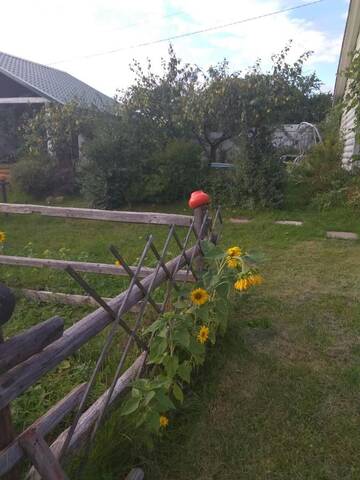 Фотографии Лоджи Agrousadba u Tanka г. Острошицкий городок (Беларусь) №4 Фото Лоджи Agrousadba u Tanka г. Острошицкий городок 4
